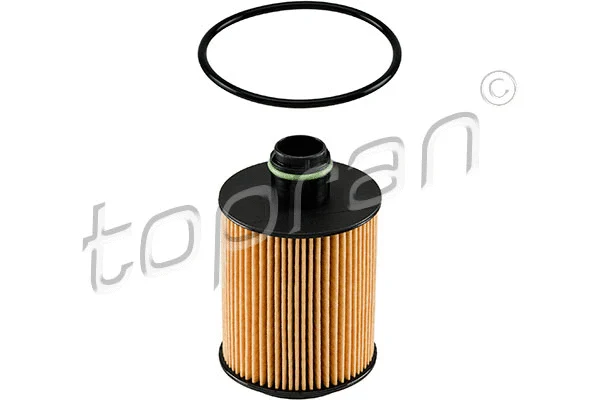 Oil Filter (207 729)