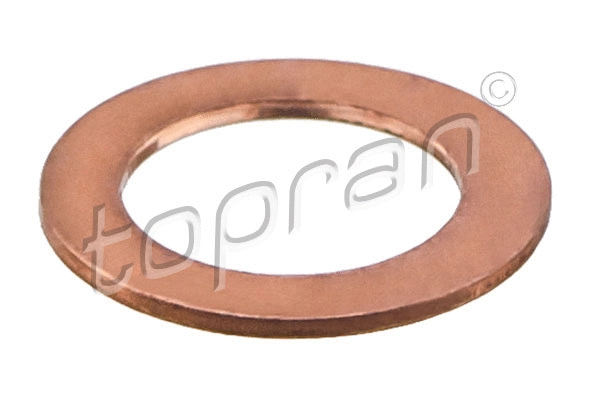 Seal Ring (820 944)