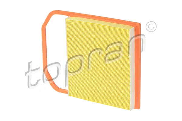 Air Filter (409 163)