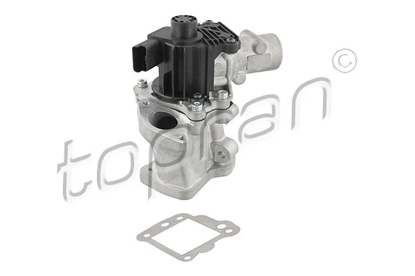 EGR Valve (639 175)