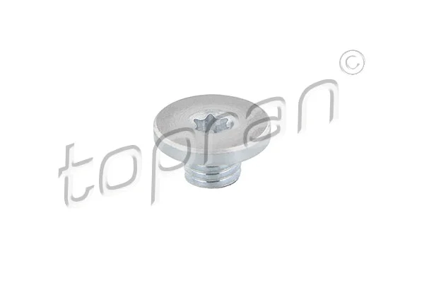 Screw Plug, oil sump (115 360)