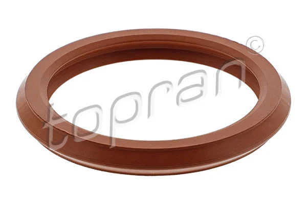 Gasket, cylinder head cover (722 822)