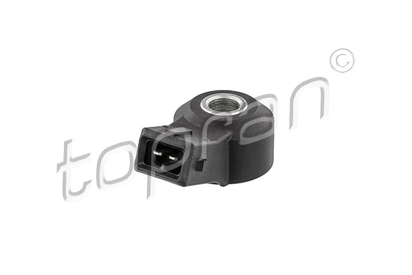 Knock Sensor (401 624)