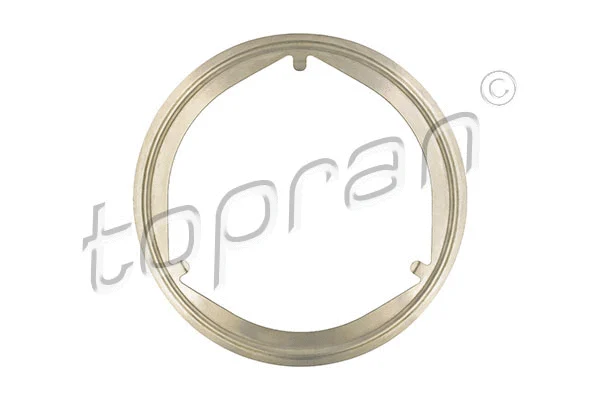 Gasket, exhaust pipe (116 843)
