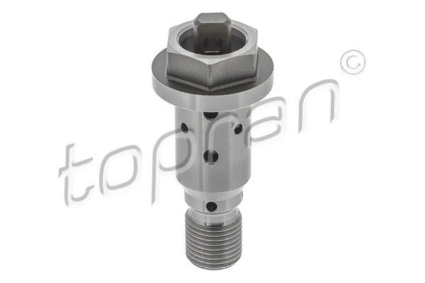 Control Valve, camshaft adjustment (639 822)
