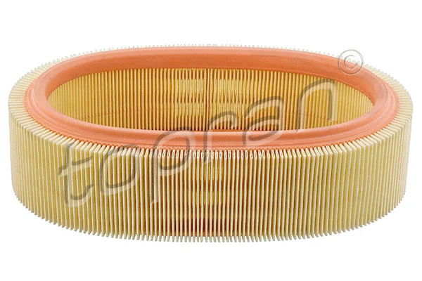 Air Filter (700 418)