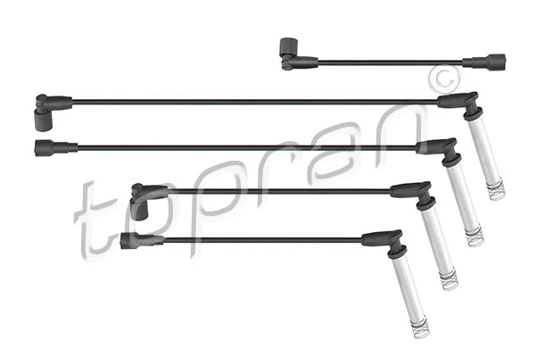 Ignition Cable Kit (202 527)