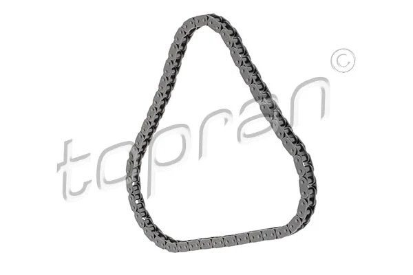 Timing Chain (117 862)