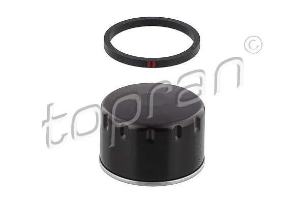 Oil Filter (207 027)