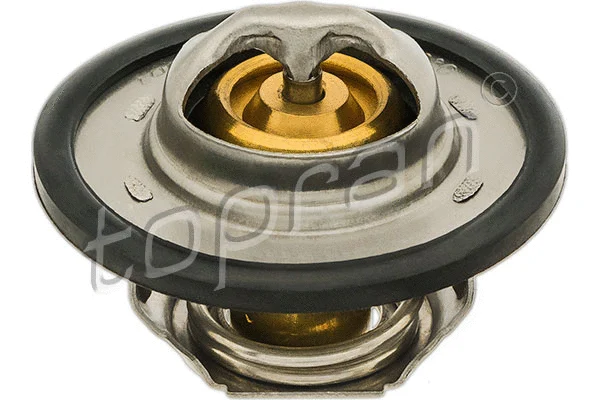 Thermostat, coolant (700 171)