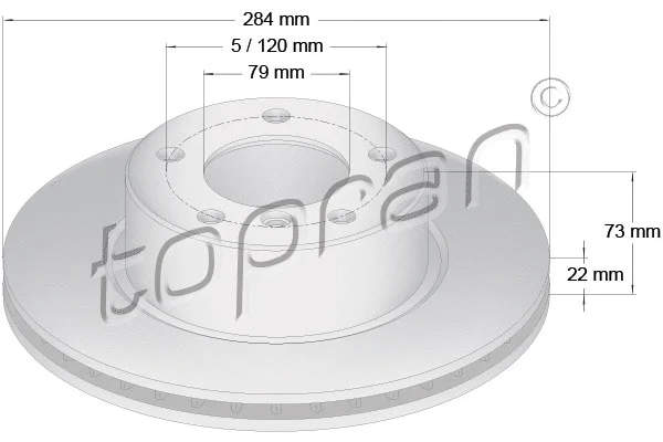 Brake Disc (501 710)
