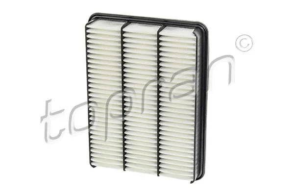 Air Filter (600 028)
