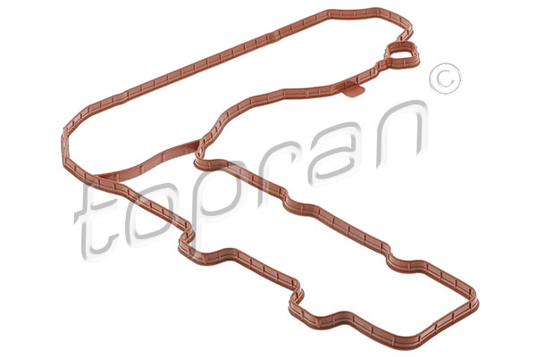 Gasket, cylinder head cover (724 339)