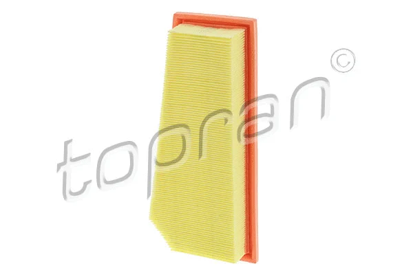 Air Filter (409 151)