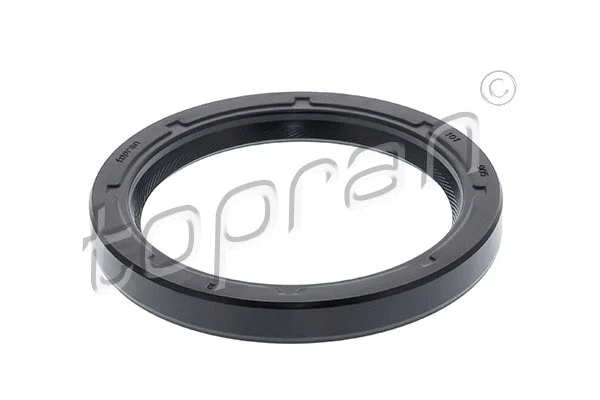 Shaft Seal, crankshaft (101 905)