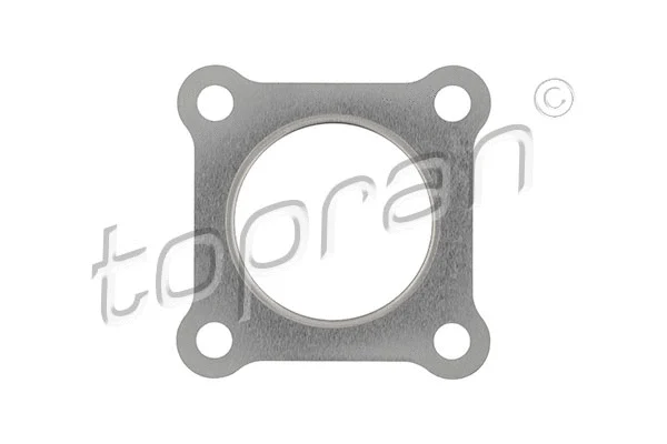 Gasket, exhaust pipe (100 809)