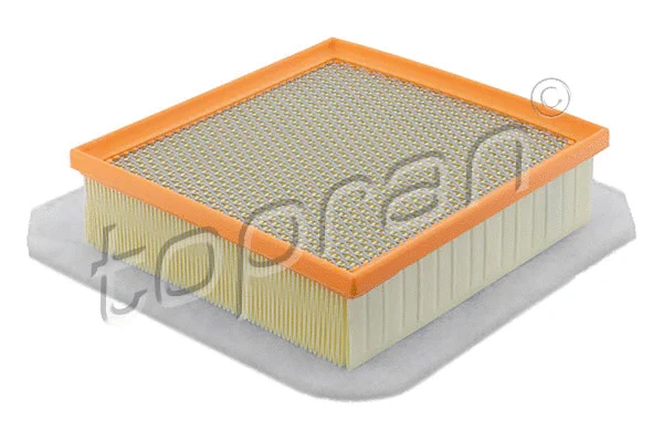 Air Filter (207 721)