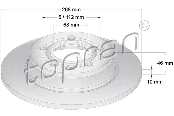 Brake Disc (107 629)