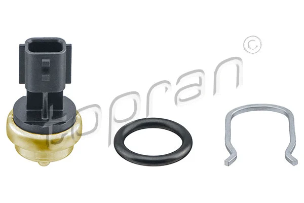 Sensor, coolant temperature (207 837)
