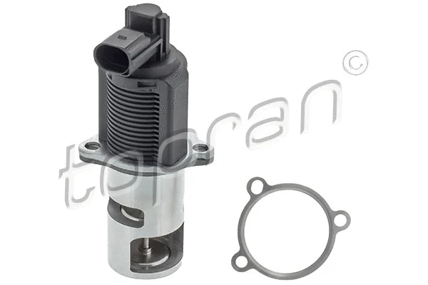 EGR Valve (700 847)