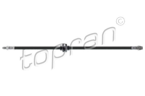 Brake Hose (702 273)