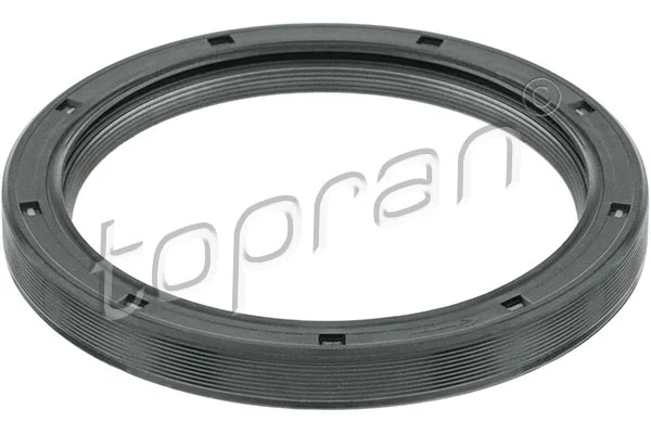 Shaft Seal, crankshaft (500 764)