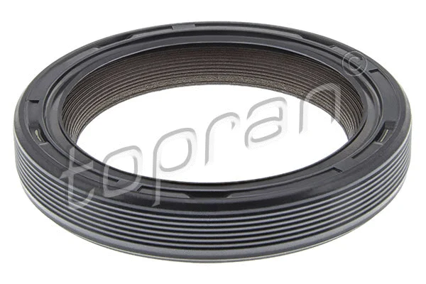 Shaft Seal, crankshaft (115 437)