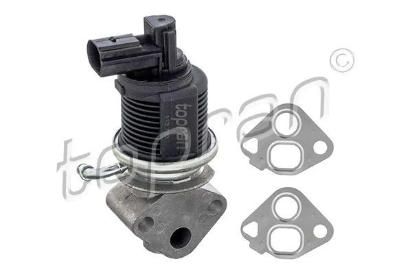EGR Valve (113 753)