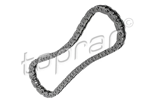 Timing Chain (502 975)