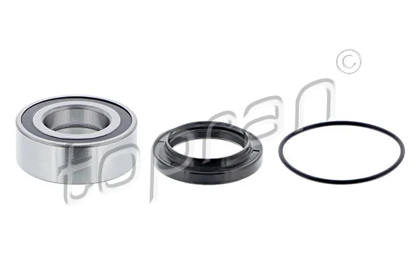 Wheel Bearing Kit (300 253)