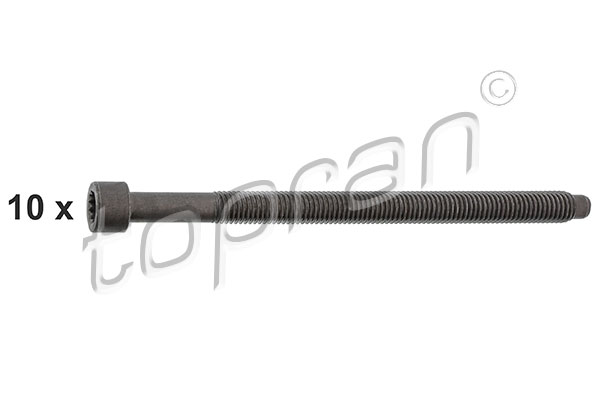 Cylinder Head Bolt Set (109 676)