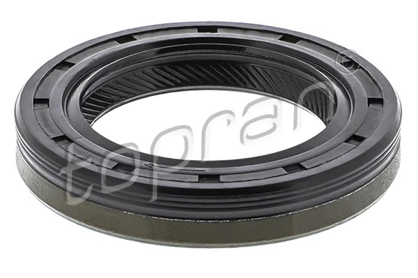 Shaft Seal, camshaft (207 640)