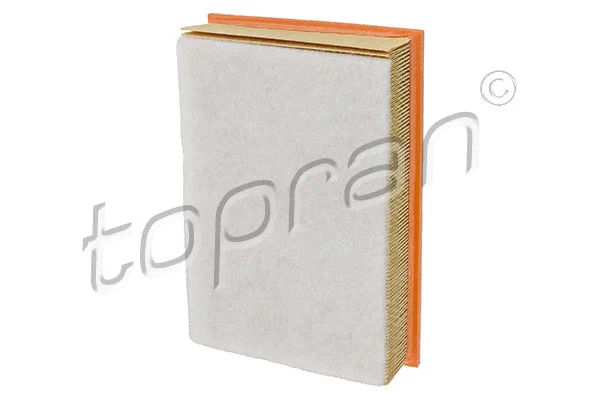 Air Filter (105 764)