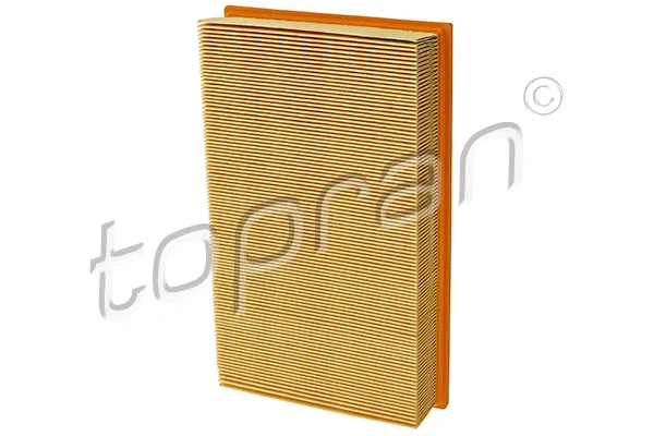 Air Filter (401 037)