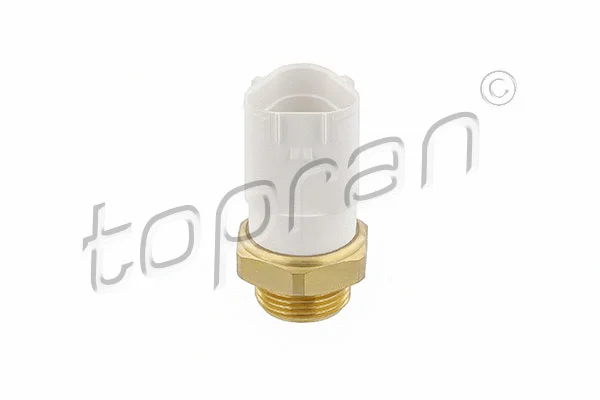 Temperature Switch, radiator fan (109 771)