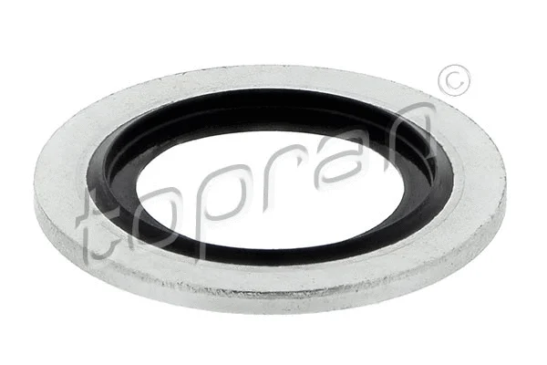 Seal Ring, oil drain plug (300 586)