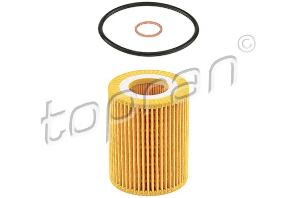 Oil Filter (502 300)