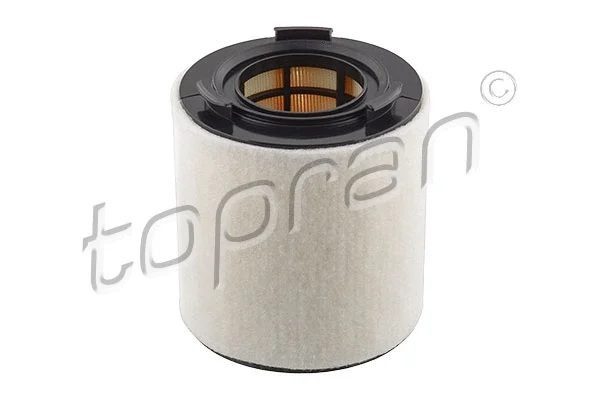 Air Filter (113 192)