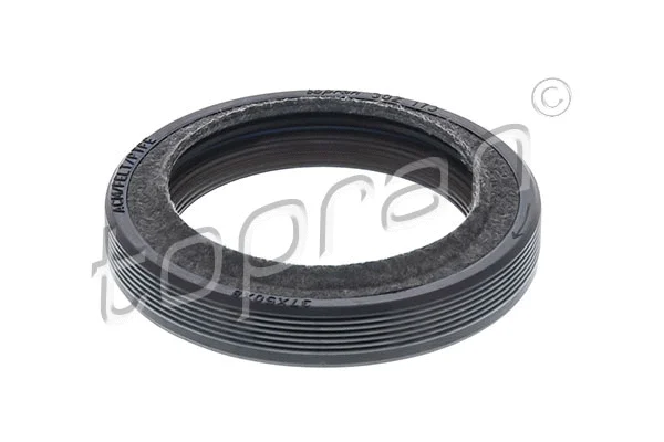Shaft Seal, crankshaft (302 173)