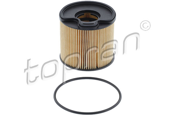 Fuel Filter (720 948)