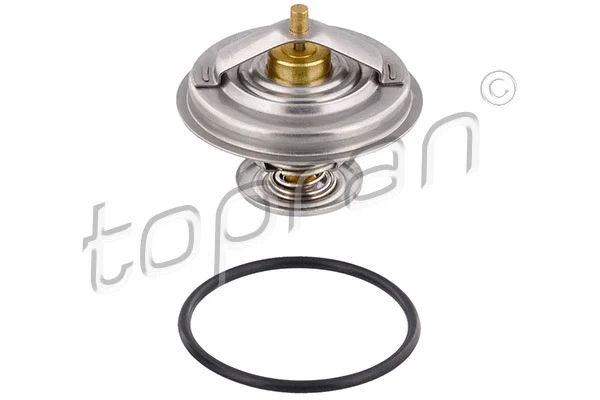 Thermostat, coolant (500 543)