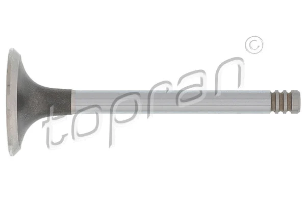 Intake Valve (101 517)