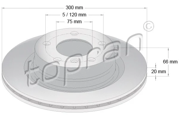 Brake Disc (501 902)