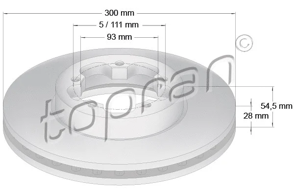 Brake Disc (303 975)