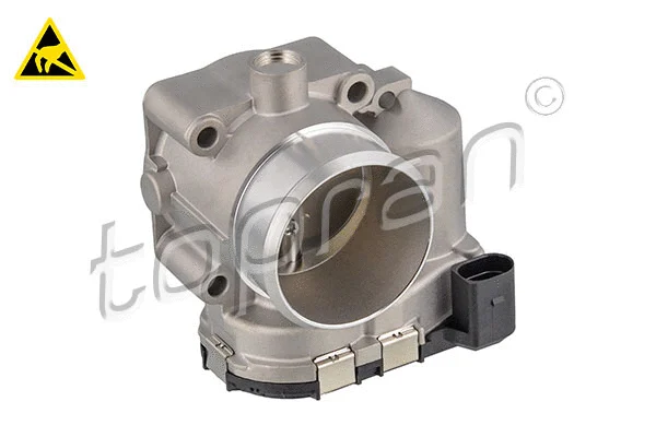 Throttle Body (117 302)