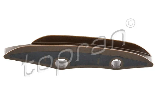 Guide, timing chain (502 976)