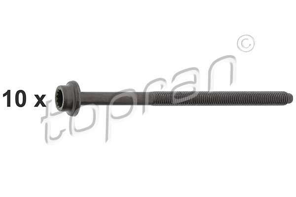 Cylinder Head Bolt Set (109 548)