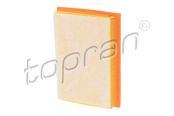 Air Filter (109 388)