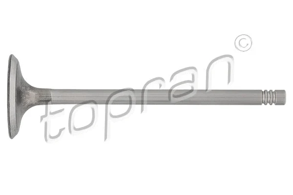 Intake Valve (500 711)
