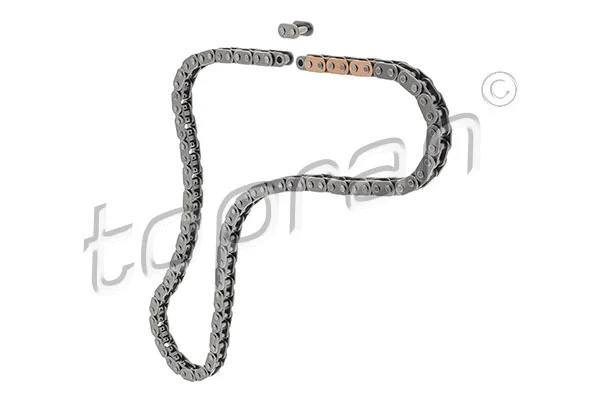 Timing Chain (632 661)